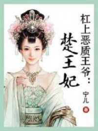 Chu Wang Fei (Novel)